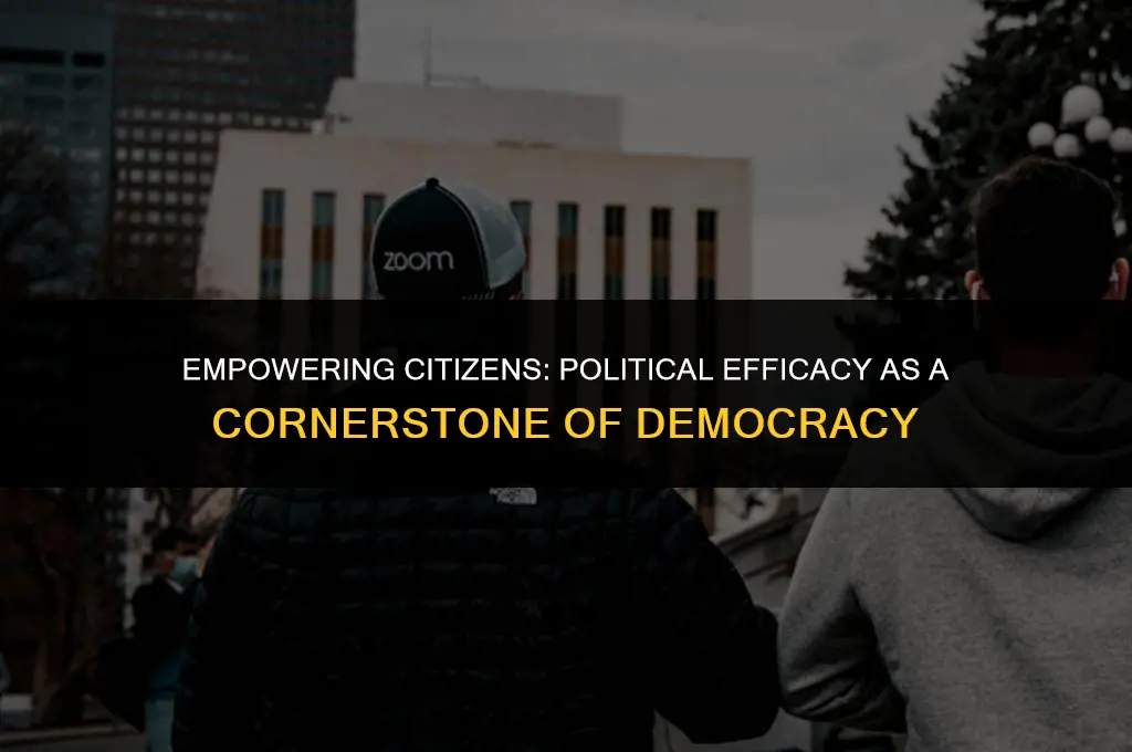 how does political efficacy demonstrate an important democratic principles