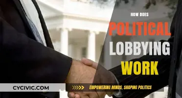 Understanding Political Lobbying: Strategies, Influence, and Impact on Policy Decisions