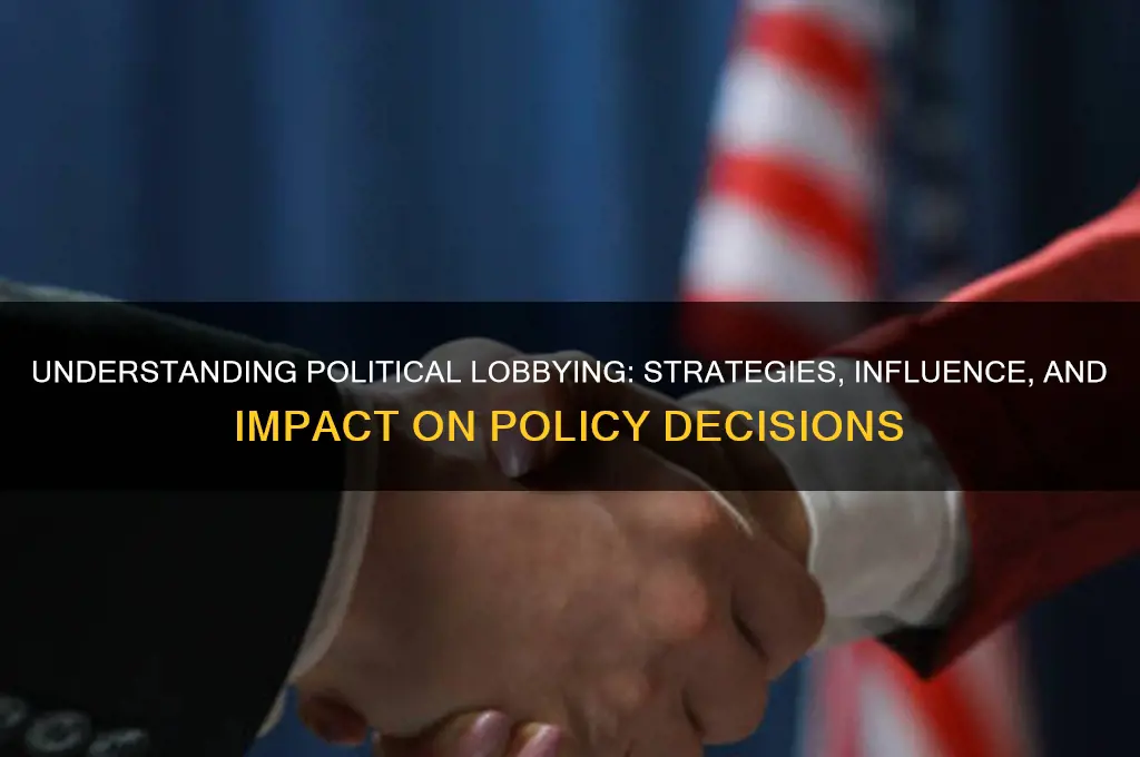 how does political lobbying work
