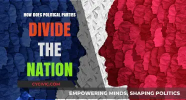Divided We Stand: How Political Parties Fracture National Unity
