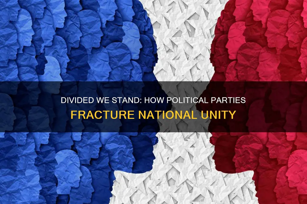 how does political parties divide the nation