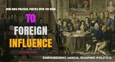 Foreign Influence in Politics: How Political Parties Open the Door