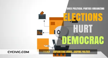 How Political Party Election Strategies Undermine Democratic Integrity