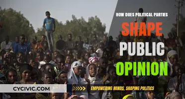 How Political Parties Influence and Mold Public Opinion Dynamics