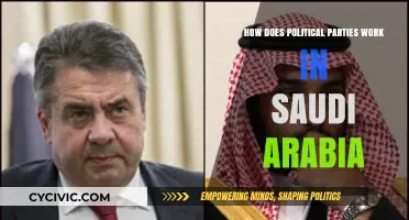 Understanding Saudi Arabia's Political System: Parties, Power, and Governance