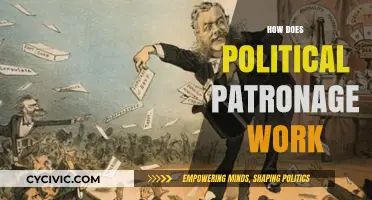 Understanding Political Patronage: Mechanisms, Influence, and Power Dynamics Explained