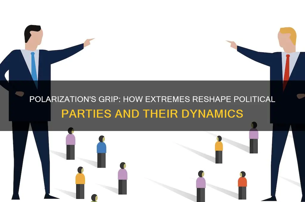 how does political polarization affect political parties and vice versa