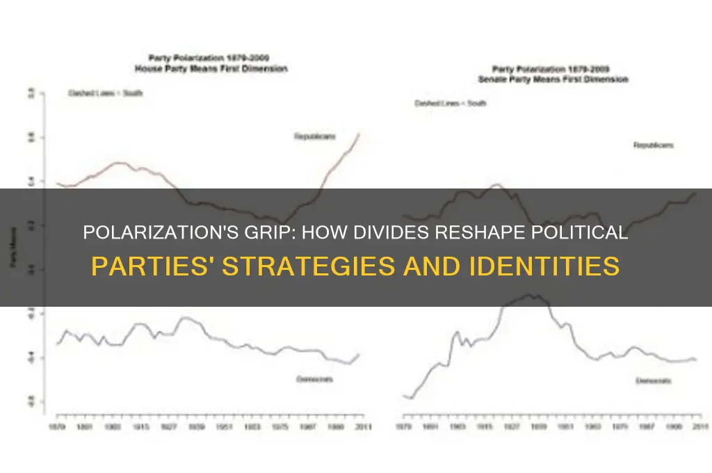 how does political polarization affect political parties