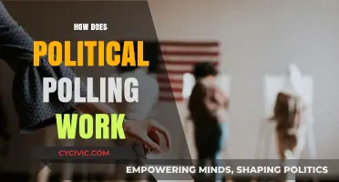 Understanding Political Polling: Methods, Accuracy, and Impact on Elections