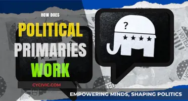 Understanding Political Primaries: A Step-by-Step Guide to the Process