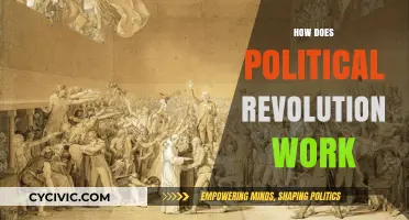 Understanding Political Revolution: Mechanisms, Drivers, and Societal Transformation