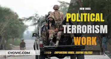Understanding Political Terrorism: Tactics, Motivations, and Global Impact Explained