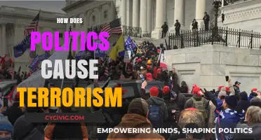 Political Grievances and Extremism: Understanding the Roots of Terrorism