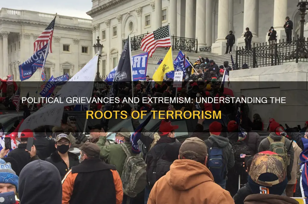 how does politics cause terrorism