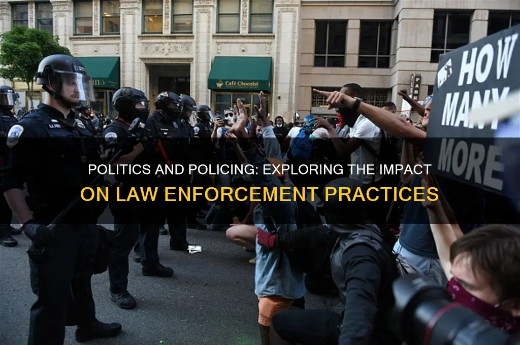 how does politics effect policing
