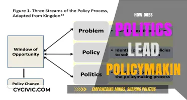 How Political Dynamics Shape Policy Creation and Implementation