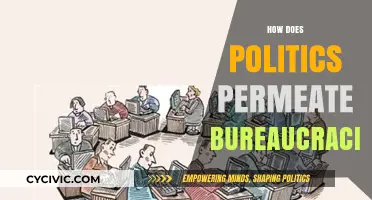 How Political Influence Shapes Bureaucratic Structures and Decision-Making