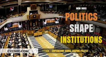 How Political Power Molds Institutional Structures and Societal Frameworks