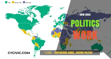 Understanding Political Systems: How Governments Operate and Policies Are Made
