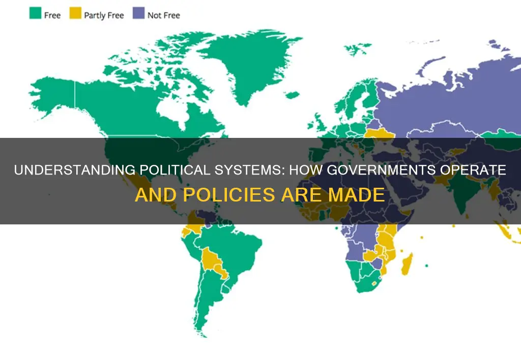 how does politics work