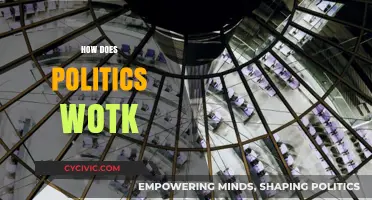 Understanding Political Systems: How Governments Function and Decisions Are Made