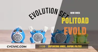 Politoad's Evolution Journey: Unveiling the Transformation Process and Requirements