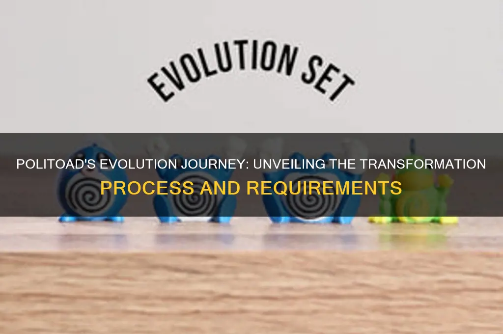 how does politoad evold