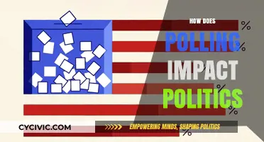 Polling Power: Shaping Political Strategies and Public Opinion Dynamics