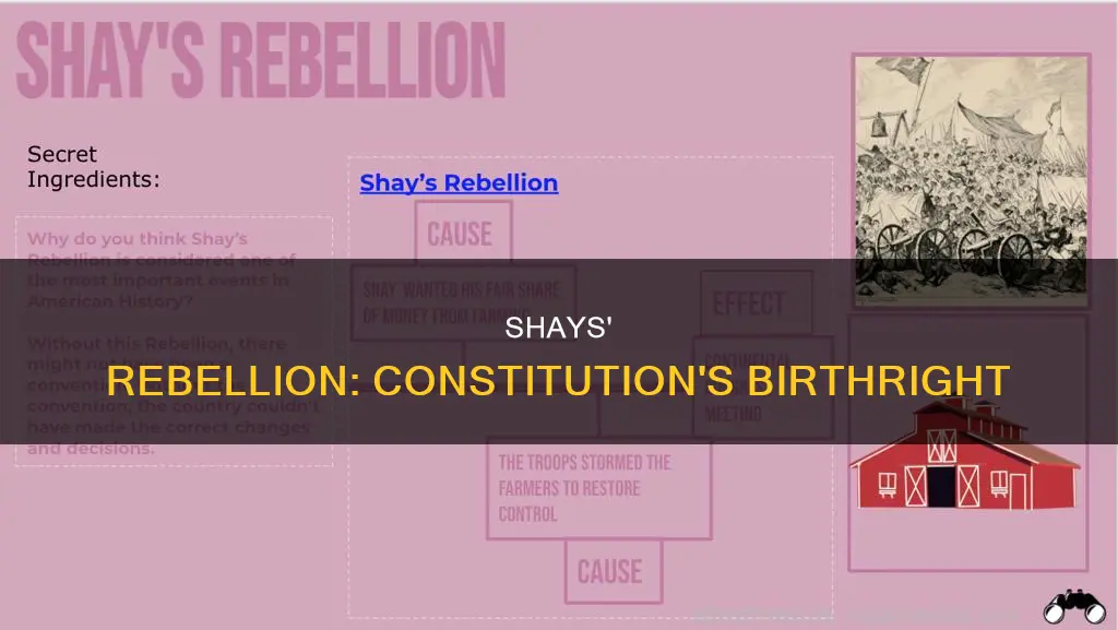 how does shays rebellion relate to the constitution