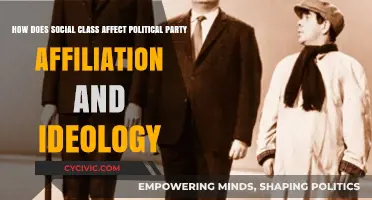 Social Class Divide: Shaping Political Party Affiliation and Ideological Beliefs