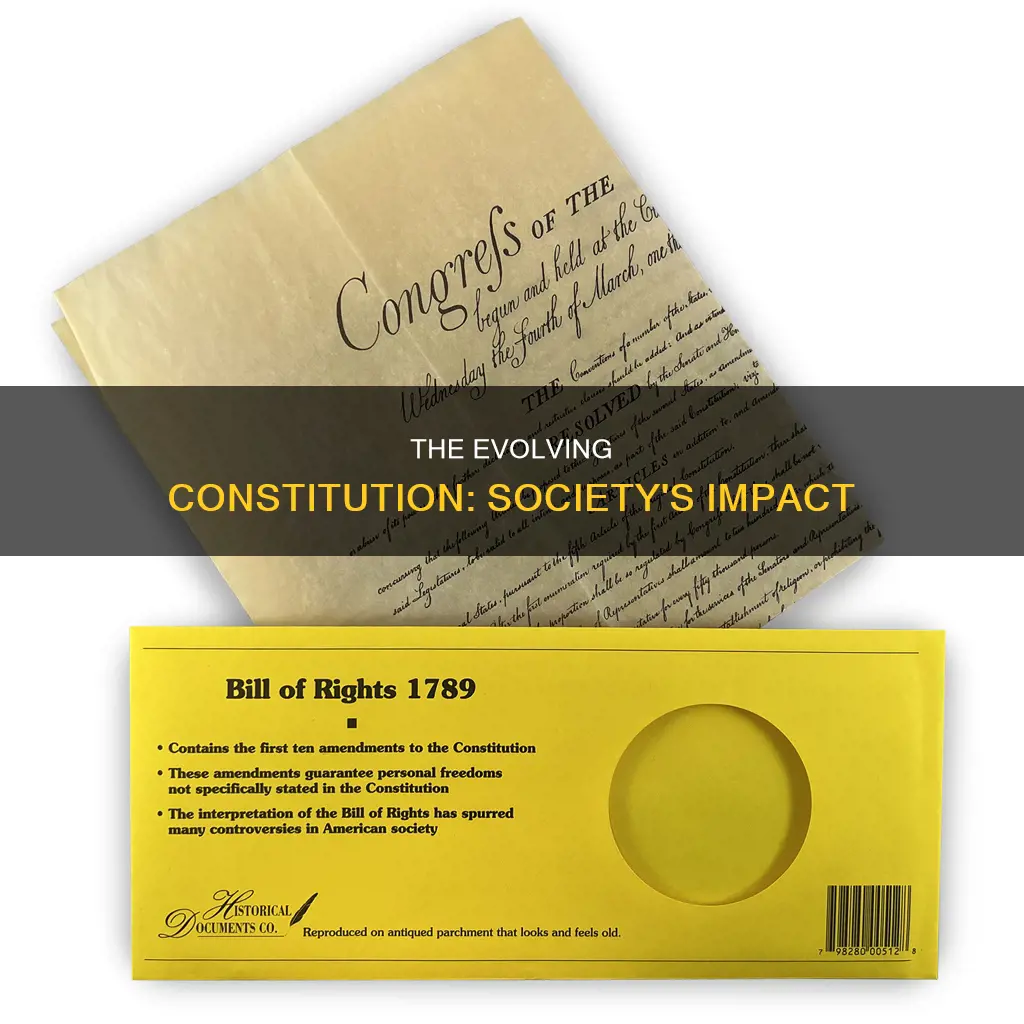 how does society affect the way the constitution is viewed