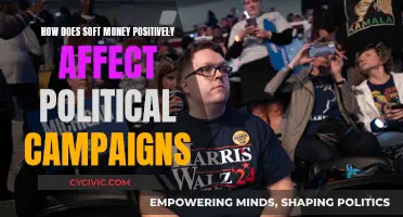Soft Money: Political Campaigns' Positive Funding Source