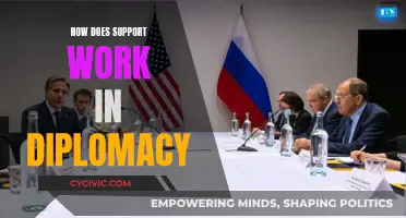 Diplomatic Support: A Strategic Advantage in Global Relations