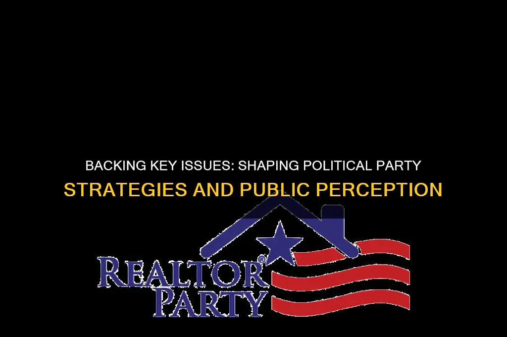 how does supporting a key issue affect political parties