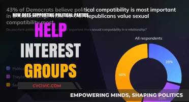 How Political Party Support Amplifies Interest Group Influence and Goals