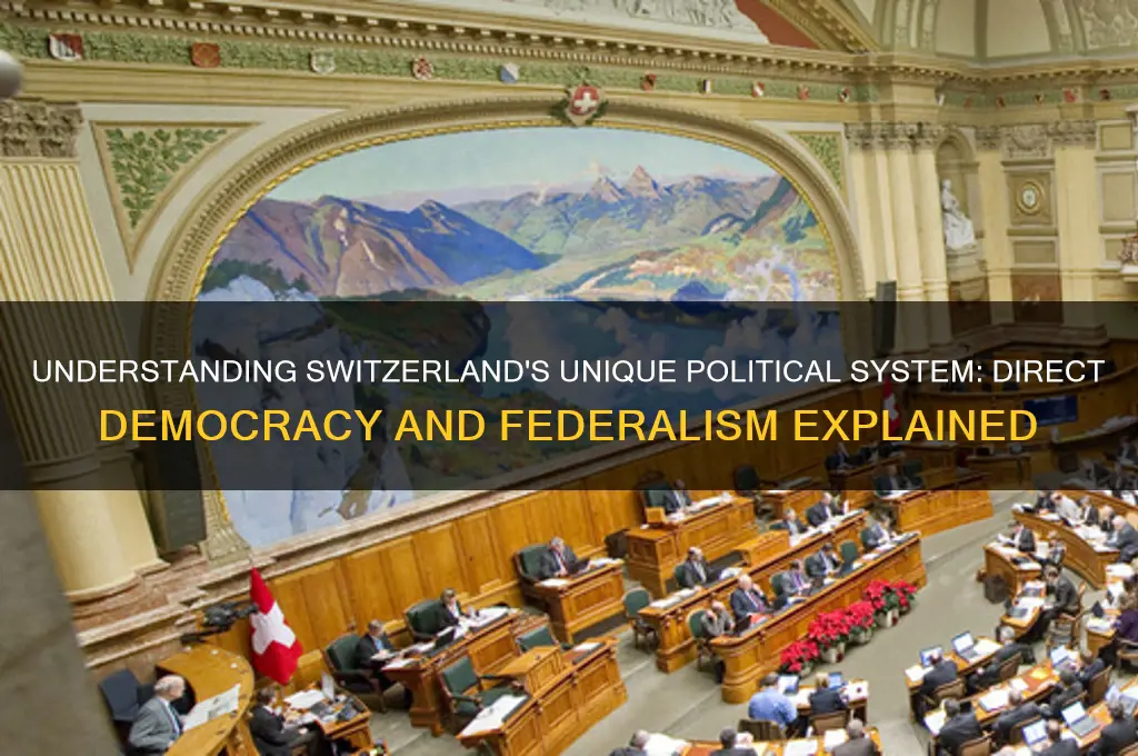 how does swiss politics work