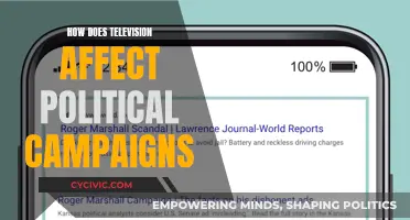 Television's Political Power: Campaigns and Screens