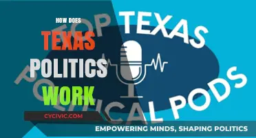 Understanding Texas Politics: A Comprehensive Guide to Its Unique System