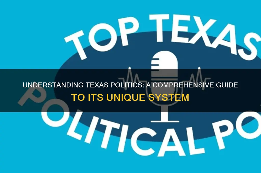 how does texas politics work