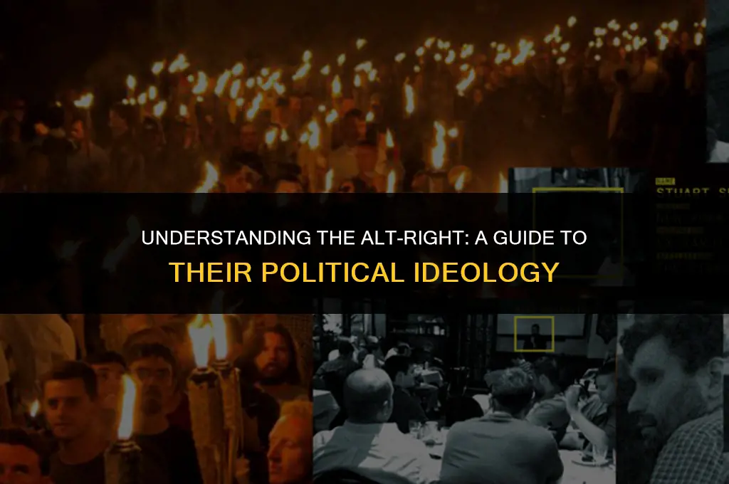 how does the alt right identify politically