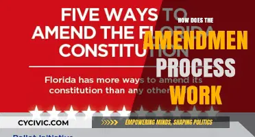 Amending the Constitution: Steps to Change