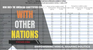 Constitutional Comparisons: US vs. the World