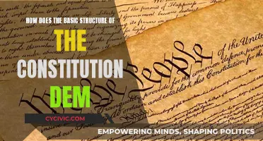 The Constitution's Basic Structure: Democracy's Foundation