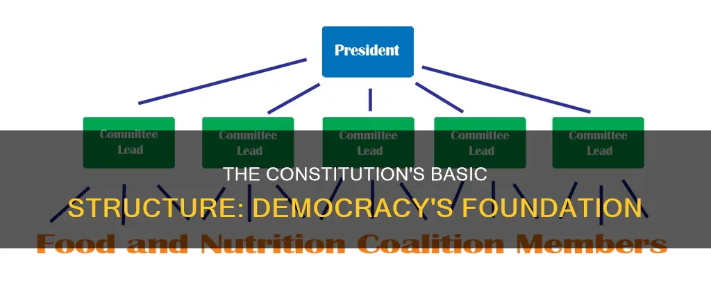 how does the basic structure of the constitution dem