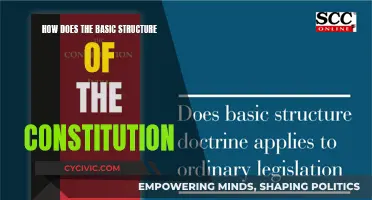 The Framework of Our Nation: Constitution Basics