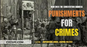 The Constitution's Approach to Punishing Criminals