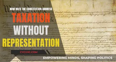 The Constitution's Take on Taxation Without Representation