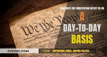 The Constitution: Our Everyday Guide and Guardian