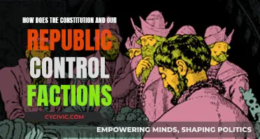Foundations of Factions: Constitution and Republic Control