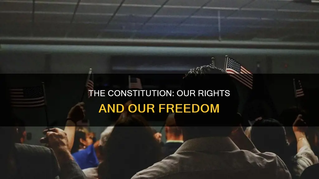 how does the constitution apply to american citizens